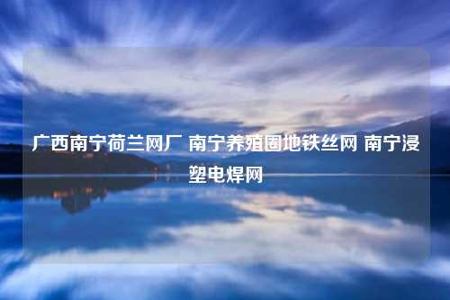 广西南宁荷兰网厂 南宁养殖圈地铁丝网 南宁浸塑电焊网