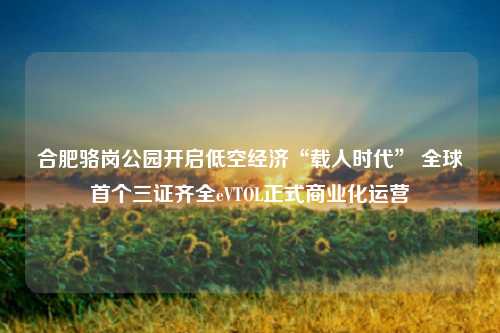 合肥骆岗公园开启低空经济“载人时代” 全球首个三证齐全eVTOL正式商业化运营