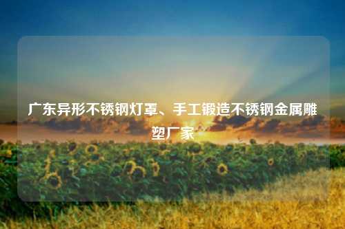 广东异形不锈钢灯罩、手工锻造不锈钢金属雕塑厂家