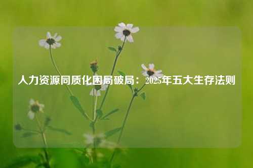 人力资源同质化困局破局:2025年五大生存法则
