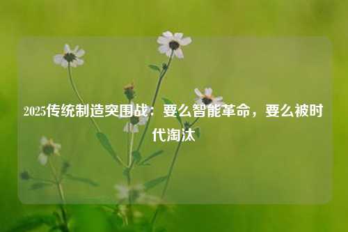 2025传统制造突围战:要么智能革命,要么被时代淘汰