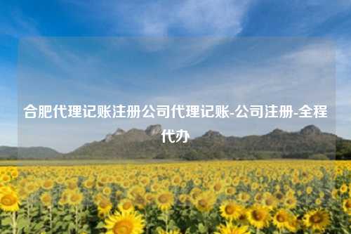 合肥代理记账注册公司代理记账-公司注册-全程代办