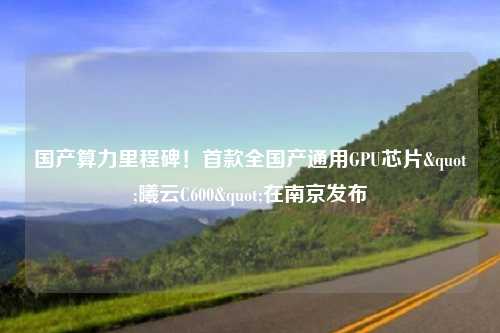 国产算力里程碑！首款全国产通用GPU芯片"曦云C600"在南京发布
